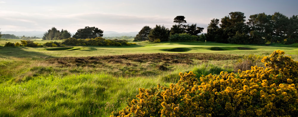The Irvine Golf Club