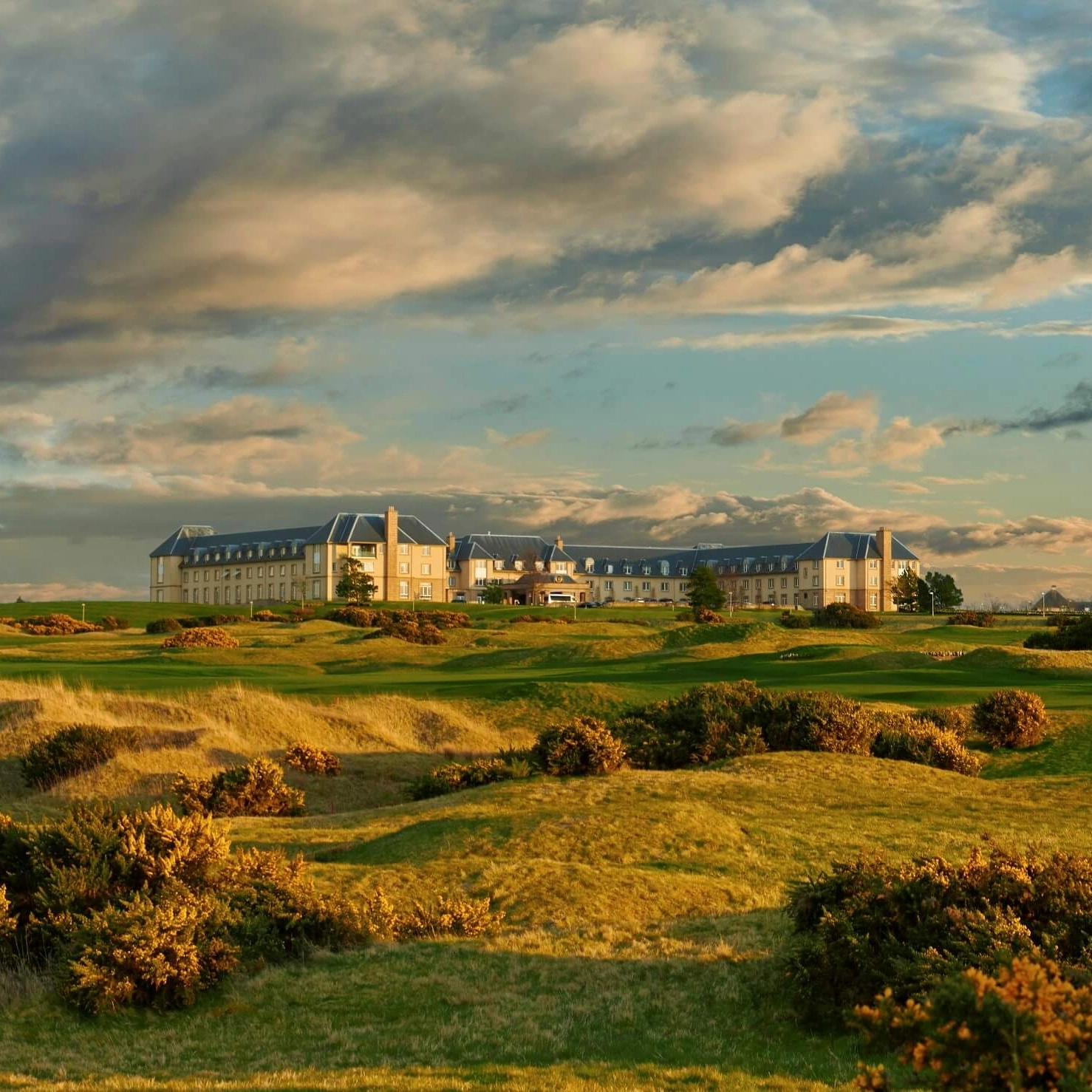 Golf Offers Scotland